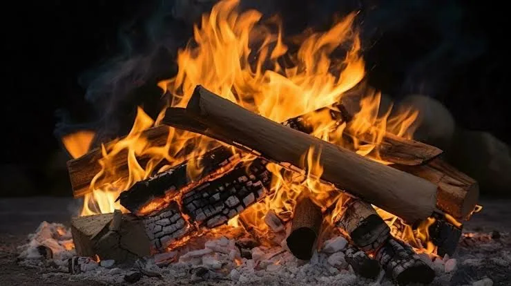 A close bonfire of crackling logs against the night