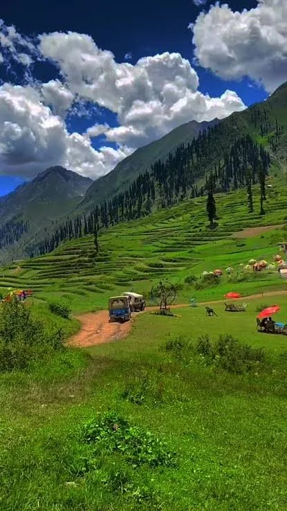 A village track winding through terraced green fields